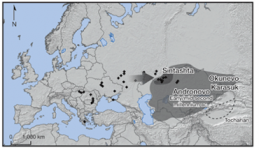 Sintashta migration.png Sintashta migration.png