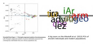 PCA1-Allentoftetal2015.jpg