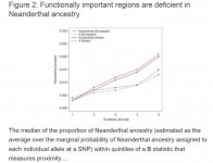 Decrease in Neanderthal ancestry.jpg
