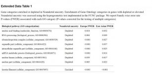 Neanderthal alleles-depleted gene ontology.jpg