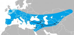 Range_of_Homo_neanderthalensis 12 2.jpg Range_of_Homo_neanderthalensis 12 2.jpg