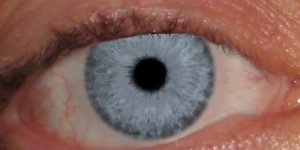 cf6620_11_.jpg