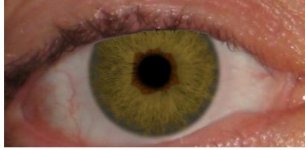 Frank's predicted eye color.jpg