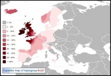 Haplogroup-R1b-L21.jpg