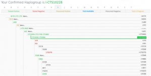 ftdna_tree_02292016.jpg