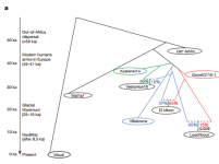 Fu et al Ice Age Europeans graph.PNG Fu et al Ice Age Europeans graph.PNG