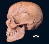 Villabruna lateral view.jpg