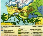 Cartomaster map of Italy during the LGM.jpg Cartomaster map of Italy during the LGM.jpg