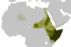 E1b1b1a1b_V32_Distribution.jpg E1b1b1a1b_V32_Distribution.jpg