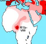 Haplogroup_R_(Y-DNA) bijgesneden.jpg Haplogroup_R_(Y-DNA) bijgesneden.jpg