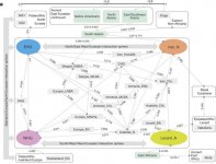 Eurasian Admixtures.jpg Eurasian Admixtures.jpg