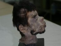 110614-ShrunkenHeadPhoto-hmed-0825a.grid-6x2.jpg 110614-ShrunkenHeadPhoto-hmed-0825a.grid-6x2.jpg