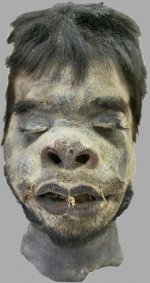 Shrunken Head, Israel.jpg Shrunken Head, Israel.jpg