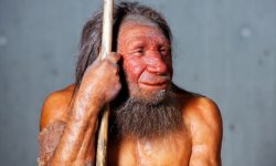 A-model-of-a-Neanderthal-008.jpg
