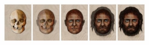 cro magnon type.jpg cro magnon type.jpg