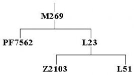 tree.JPG tree.JPG