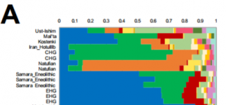 Admixture analysis Saag et al Estonian paper.PNG Admixture analysis Saag et al Estonian paper.PNG