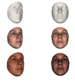 shg.PNG