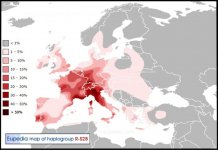 Haplogroup-R1b-S28.jpg