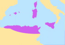 300px-Vandal_Kingdom_at_its_maximum_extent_in_the_470s.png