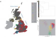 POBI 17 Genetic Clusters.jpg