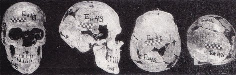 Skull 43 Varna VHNI-Гроб-43-череп.jpg