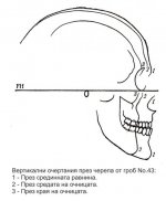 Skull 43 Varna VHNI-Гроб-43-очертания-през-черепа.jpg