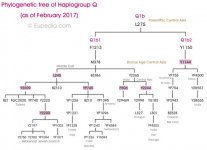 Q1b-tree.jpg