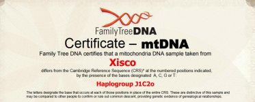MtDNA certificate.jpg