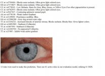 Color ojo predicción.jpg