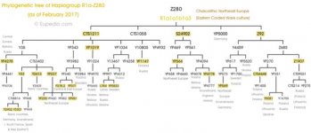 Z280 Tree.jpg