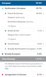 friesland-2.jpg