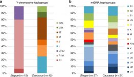 Y & mtDNA statrs.jpg Y & mtDNA statrs.jpg