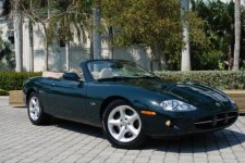 jaguar1.jpg jaguar1.jpg