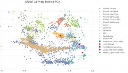 Pca Berber completo.jpg Pca Berber completo.jpg