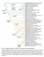 fig2_arXiv.jpg