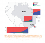 Ancestralidade brasileira..PNG