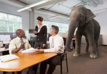 Elephant-in-Office-1-1024x705.jpg