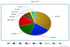 meta-chart (3).jpg