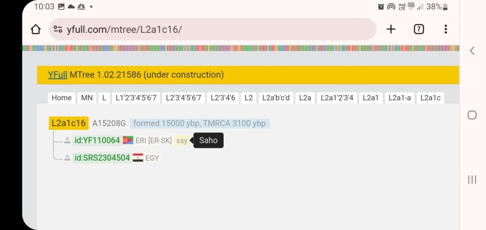 Screenshot_20240325_220316_Chrome.jpg