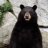 Grizzly