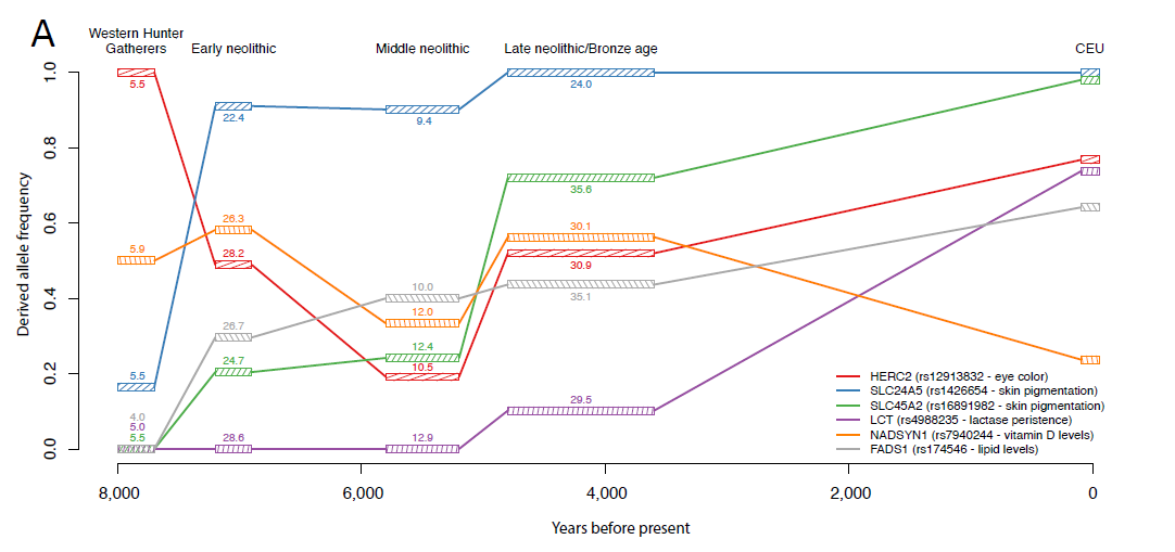 Mathieson-2015-graph.png