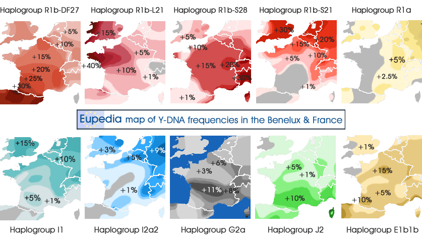 Distribution of Y-DNA haplogroups in the Benelux and France<