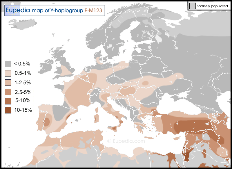 Haplogroup-E-M123.gif