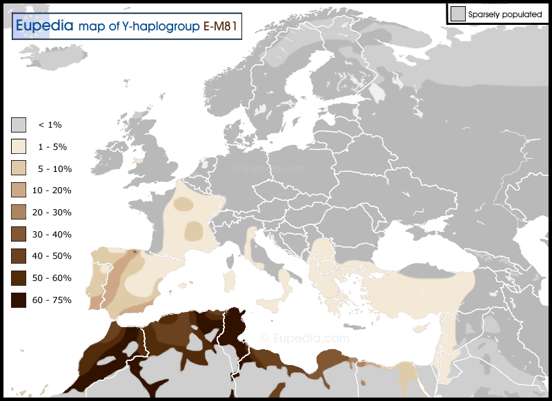 Haplogroup-E-M81.gif