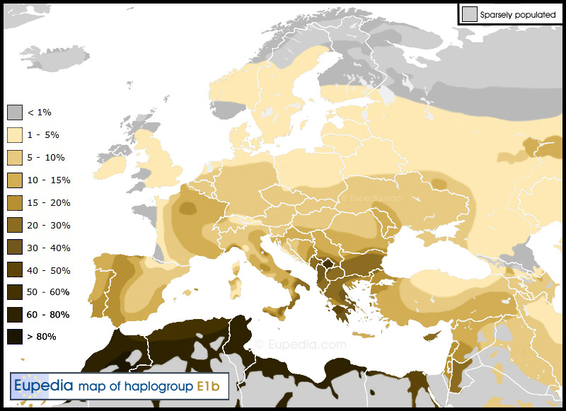Haplogroup-E1b1b.jpg