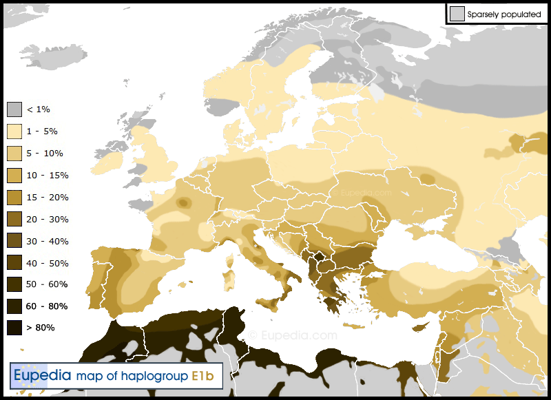 Distribuzione dellaplogruppo E1b1b in Europa, in Medioriente e in Africa settentrionale