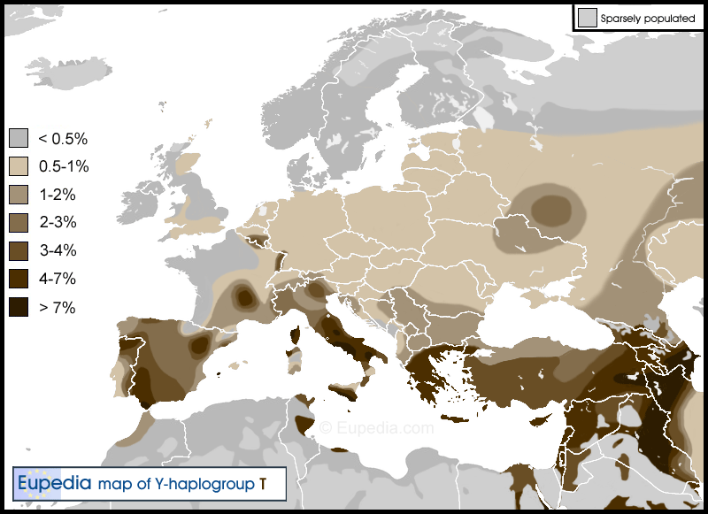 Haplogroup-T.gif