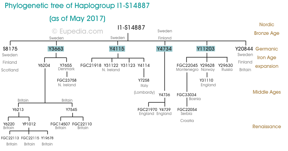 Phylogenetischer Baum der Haplogruppe I1-S14887 (Y-DNA) - Eupedia
