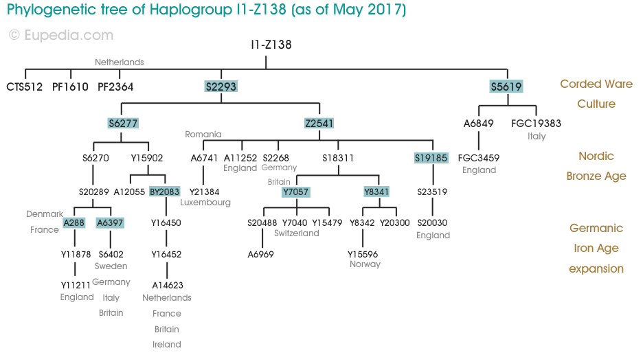 Drzewo filogenetyczne haplogrupy I1-Z138 (Y-DNA) - Eupedia